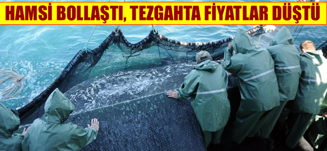 Hamsi fiyatları 3 liraya kadar düştü, vatandaş memnun