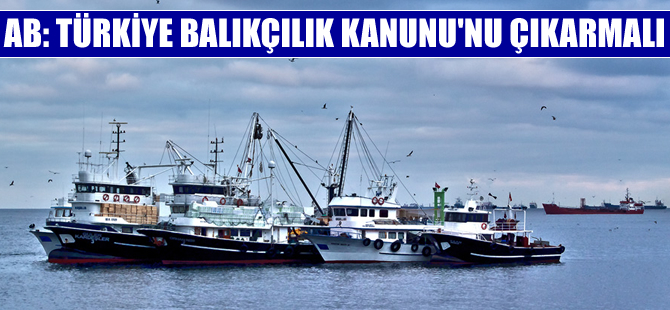 AB İlerleme Raporu'nda “Türkiye'de Balıkçılık Kanunu çıkarılmalı” denildi
