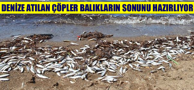 Denize atılan çöpler, balıkların üremesini engelliyor