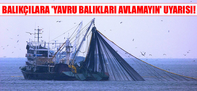 Balıkçılara "yavru balıkları avlamayın" uyarısı!