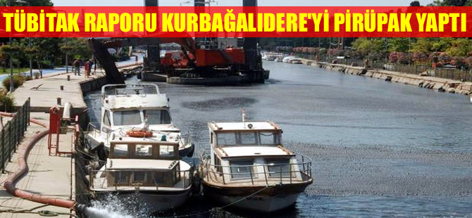 TÜBİTAK'a göre Kurbağalıdere'nin çamuru tehlikesizmiş!