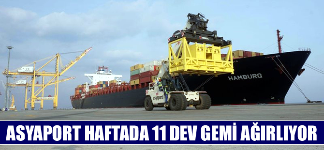 Dev gemiler Asyaport Limanı'nda ağırlanıyor