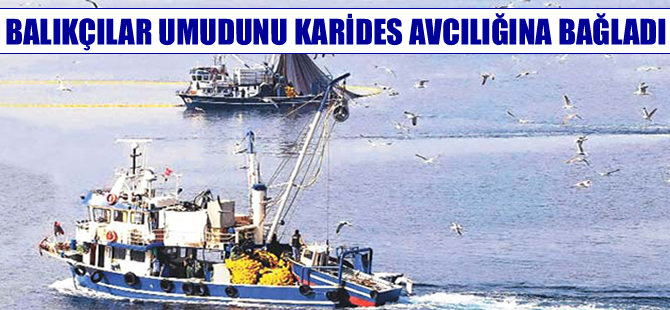 Balıkçılar balıktan umudu kesti, karides avına çıktı