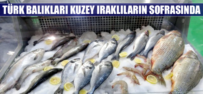 Kuzey Irak Türkiye'den su ürünleri istiyor