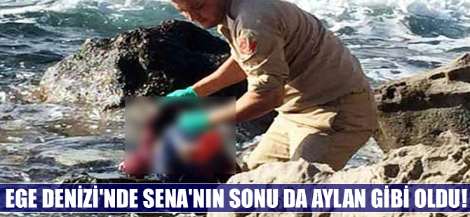 Ege'de Sena'nın sonu da Aylan gibi oldu!