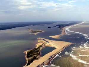 'Zehirli nehir' okyanusa ulaştı; deniz canlıları tehlikede