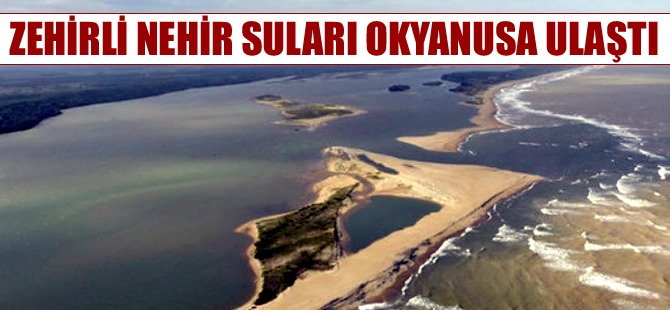 'Zehirli nehir' okyanusa ulaştı; deniz canlıları tehlikede