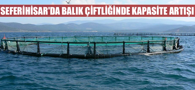 Seferihisar’daki balık çiftliğinde kapasite artışı