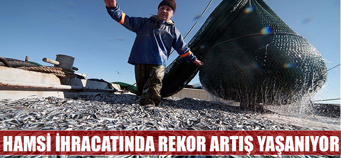 Hamsi ihracatı geçen yıla göre yüzde 31 arttı