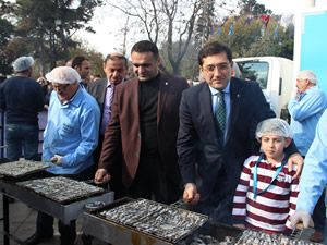 Sinop hamsisi İstanbul'da görücüye çıktı