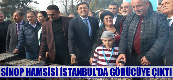 Sinop hamsisi İstanbul'da görücüye çıktı