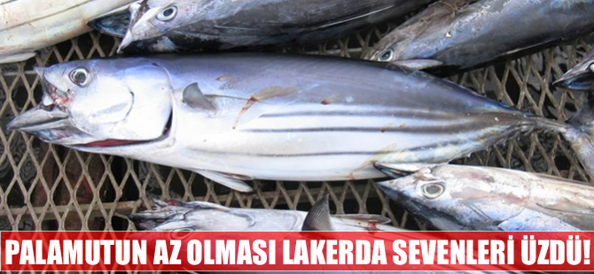 Palamutun az avlanması lakerda  sevenleri üzdü