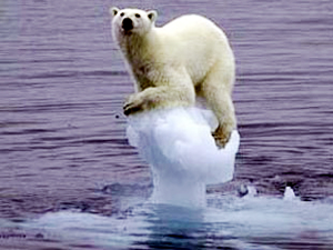 Kutup ayıları IUCN tarafından ‘Kırmızı Liste’ye alındı