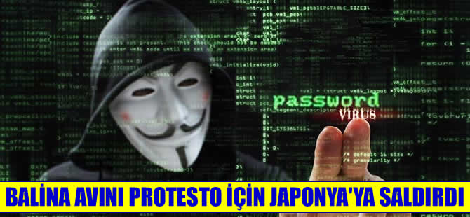 Anonymous, balina avı nedeniyle Japonya'ya saldırdı