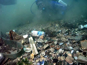 Türkiye denizlerindeki atıkların yüzde 53'ü dış kaynaklı