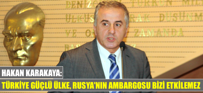 Ömer Hakan Karakaya: Rusya'nın ambargosu, Türk ekonomisini etkilemez