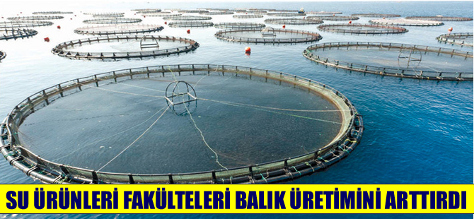 Prof. Dr. Meriç Albay :Su ürünleri fakülteleriyle balık üretimi arttı