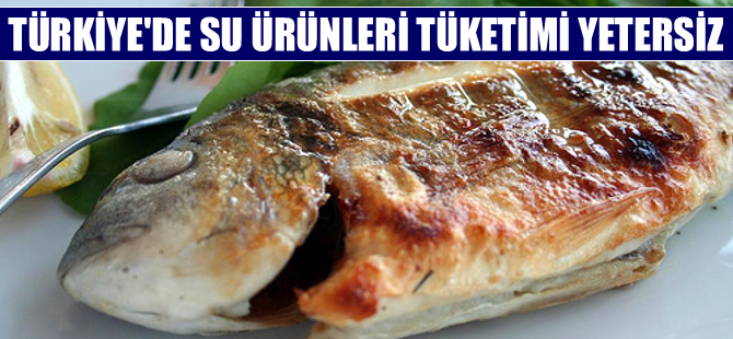 Türkiye’de balık tüketimini artıramadık