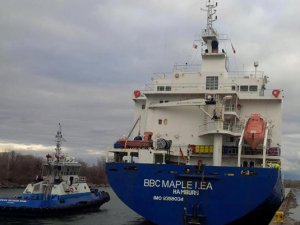 Kargo gemisi BBC Maple Lea Kanada’da karaya oturdu