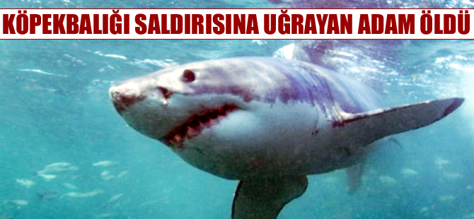 Kurtarılmasına ramak kala köpek balığının kurbanı oldu