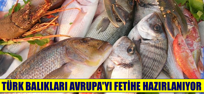 Türk balıkları 10-15 yıl içinde Avrupa'da ilk sıraya yerleşecek