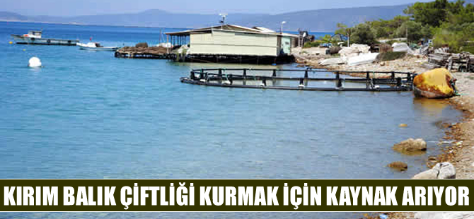 Kırım'da balık çiftlikleri birer birer kapandı