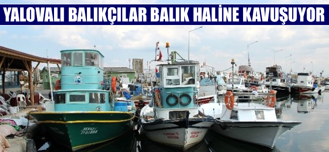 Yalovalı balıkçılar müjde! Yalova'da balık hali kuruluyor