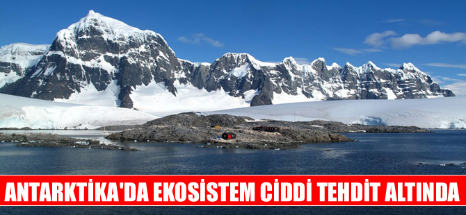 Antarktika’daki ekosistem ciddi tehdit altında