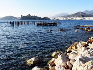 Bodrum'daki iskele ihalesi ikinci bir talimata kadar iptal