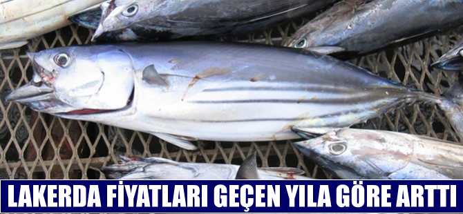 Lakerda fiyatları geçen yıla göre yüzde yüz arttı