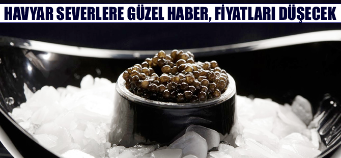 Havyar ucuz fiyatlarla Türk sofralarında yerini alacak