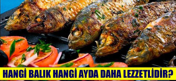 Hangi ayda hangi balık lezzetlidir?