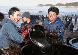 Güney Kore sahilleri petrole bulandı