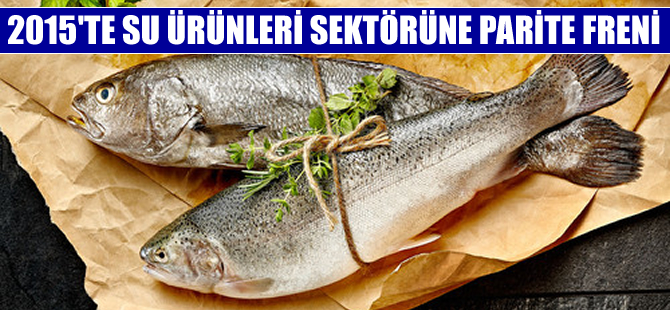 Parite, su ürünleri sektörüne fren yaptırdı