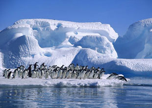 Antarktika'da çalışacak 4 kişi aranıyor