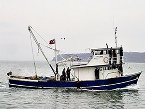 Küçük balıkçılar emeklerinin karşılığını alamamaktan şikayetçi