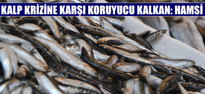 Kalp krizine karşı koruyucu kalkan: Hamsi balığı!