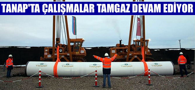 TANAP'ta çalışmalar hızla devam ediyor