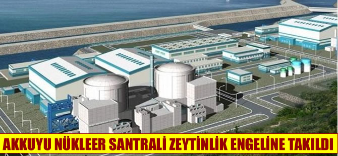 Akkuyu'da nükleer santral, zeytinlik ve kıyı kanununa takıldı
