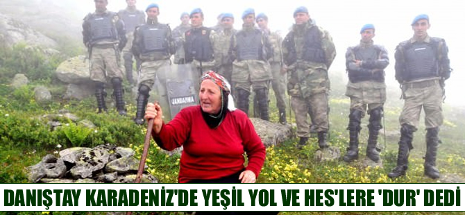 Danıştay, Karadeniz'de Yeşil Yol'a ve HES'lere 'Dur' dedi