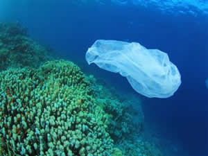 Okyanusların en büyük sorunu plastik kirliliği