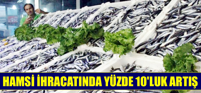 Hamsi ihracatında yüzde 10 artış yaşandı