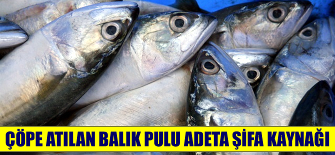 Balık pulunun inanılmaz faydaları!