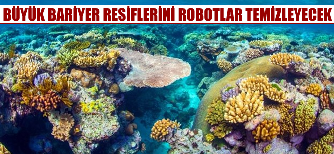 Büyük Bariyer Resifi'nin temizliğinde robotlar kullanılacak