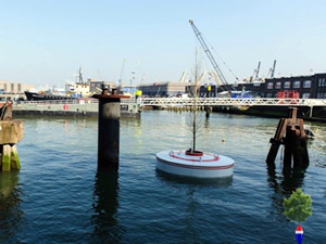 Hollanda’da kanallarında yüzen orman