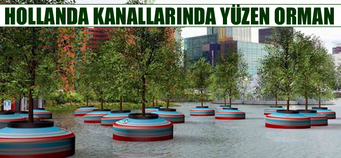Hollanda’da kanallarında yüzen orman