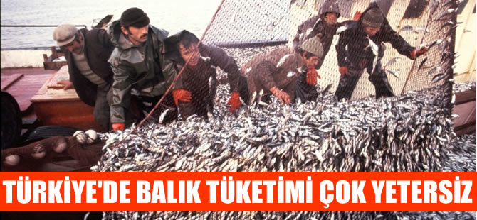 Türkiye'de 2015'te kişi başına balık tüketimi yıllık 8,6 kilo oldu