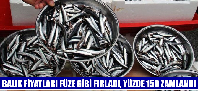 Balık fiyatları füze gibi fırladı, yüzde 150 zamlandı