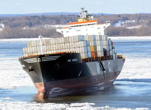 Konteyner gemisi MSC Monica St Lawrence Nehri'nde karaya oturdu