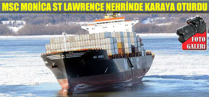 Konteyner gemisi MSC Monica St Lawrence Nehri'nde karaya oturdu